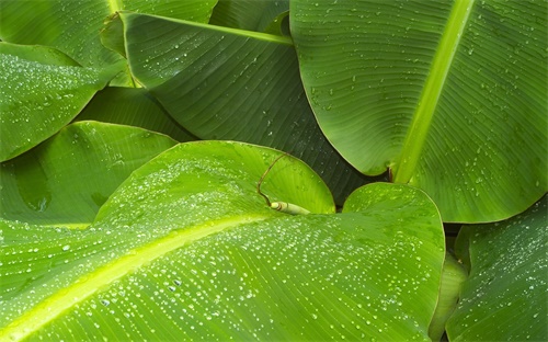 如何拆翼虎氧传感器，长安2氧传感器怎么拆